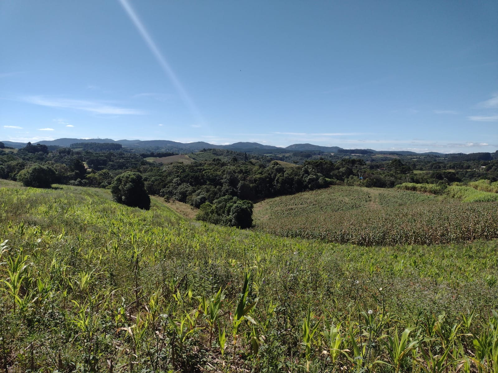 Terreno à Venda, 4.864,18 m² - Foto 4