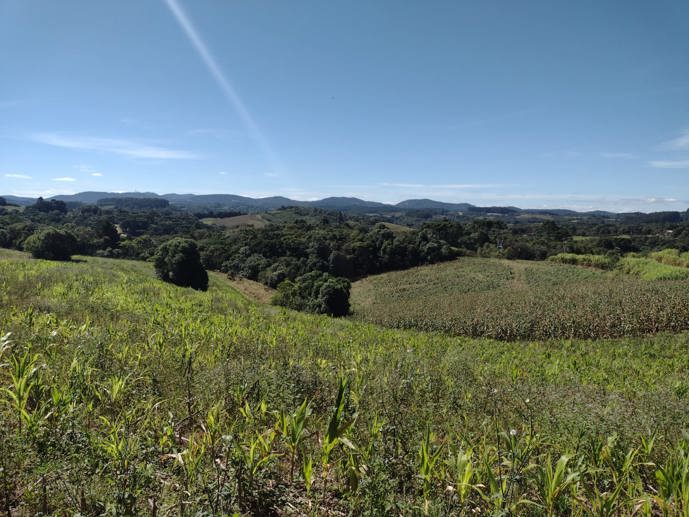 Terreno à Venda, 4.864,18 m² - Foto 4