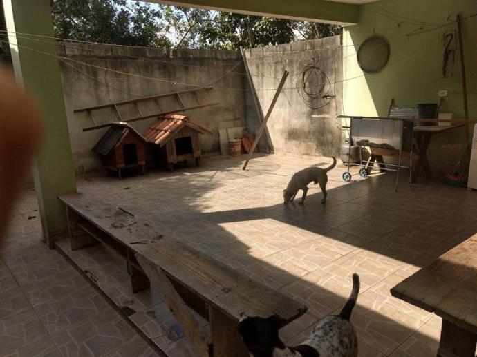 Casa com 3 Quartos à Venda, 140,00 m² - Foto 6