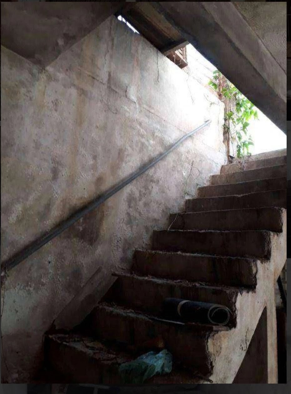 Terreno com 1 Quarto à Venda, 190,00 m² - Foto 3