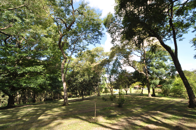 Rural com 3 Quartos à Venda, 29.670,00 m² - Foto 22