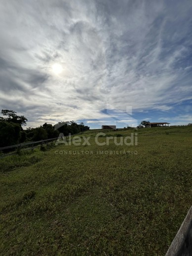 Rural com 8 Quartos à Venda, 242.000,00 m² - Foto 24