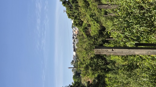 Rural à Venda, 145.585,00 m² - Foto 4