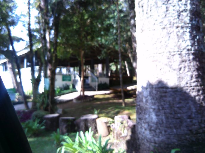 Rural com 3 Quartos à Venda, 1.237,22 m² - Foto 98
