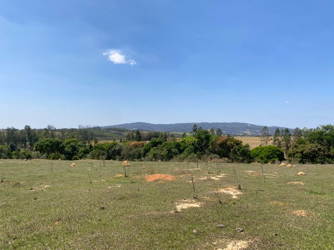 Terreno à Venda, 56.645,32 m² - Foto 7