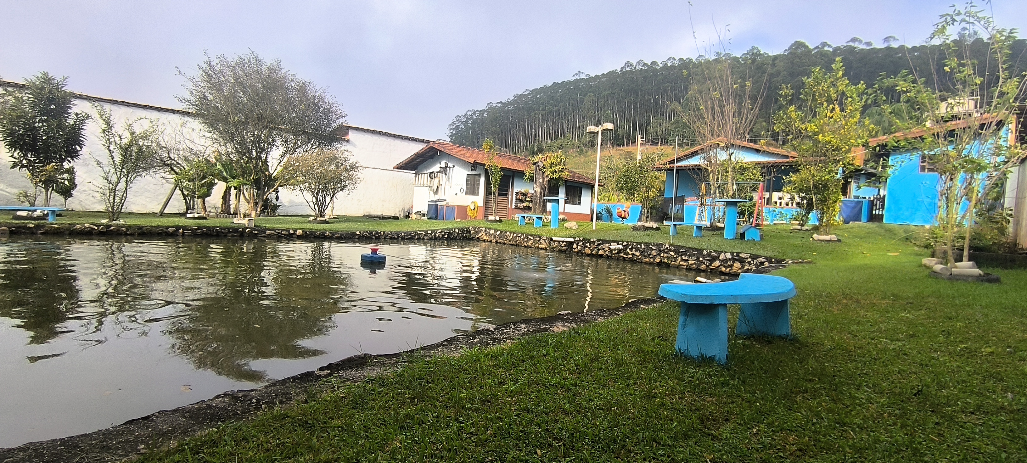 Rural com 5 Quartos à Venda, 1.000,00 m² - Foto 10