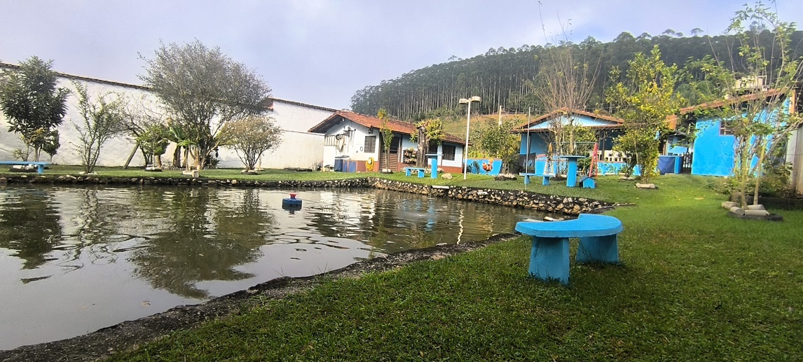 Rural com 5 Quartos à Venda, 1.000,00 m² - Foto 10