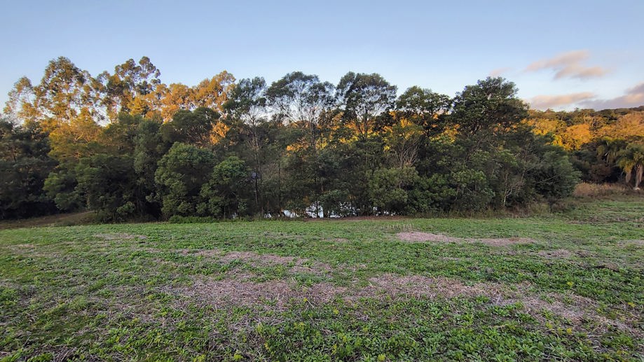 Rural à Venda, 70.000,00 m² - Foto 3