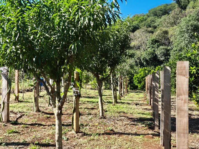 Rural com 1 Quarto à Venda - Foto 9