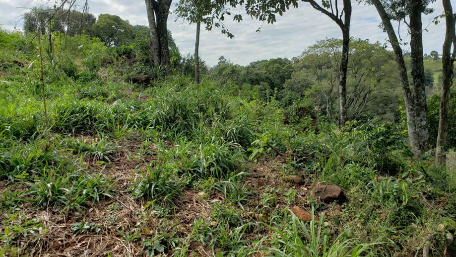 Rural com 2 Quartos à Venda, 84,00 m² - Foto 19