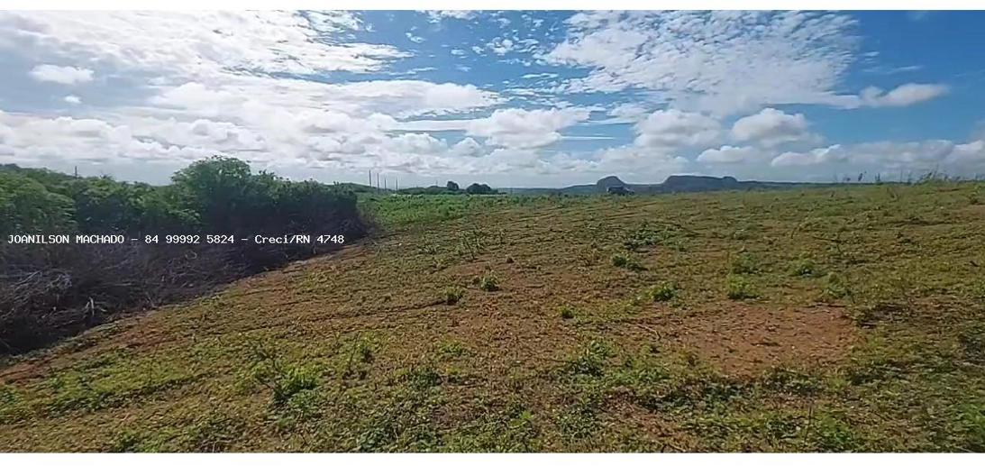 Terreno à Venda - Foto 6