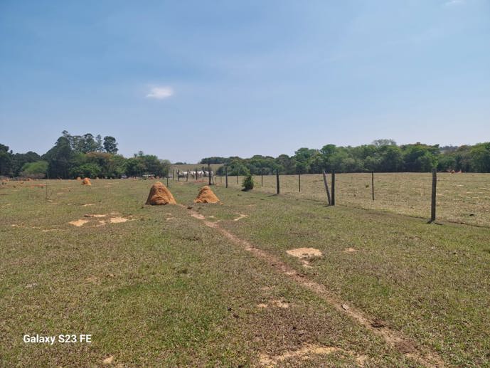 Terreno à Venda, 56.645,32 m² - Foto 10