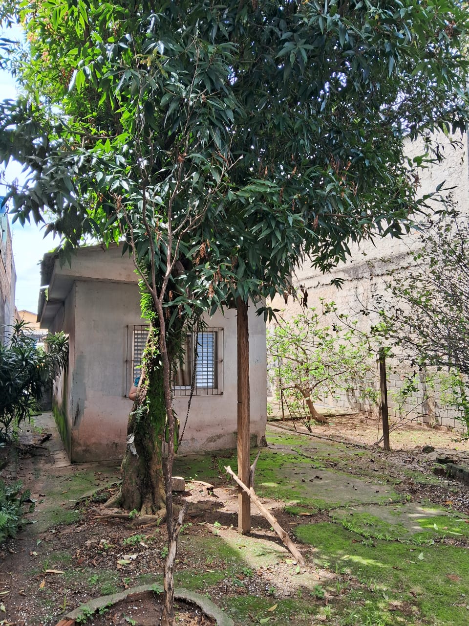 Terreno à Venda, 467,52 m² - Foto 10