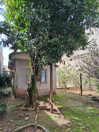 Terreno à Venda, 467,52 m² - Foto 10