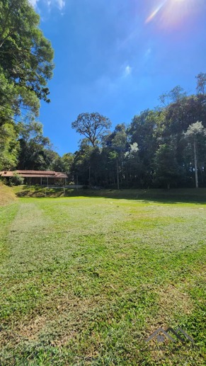 Rural à Venda, 6.530,00 m² - Foto 13
