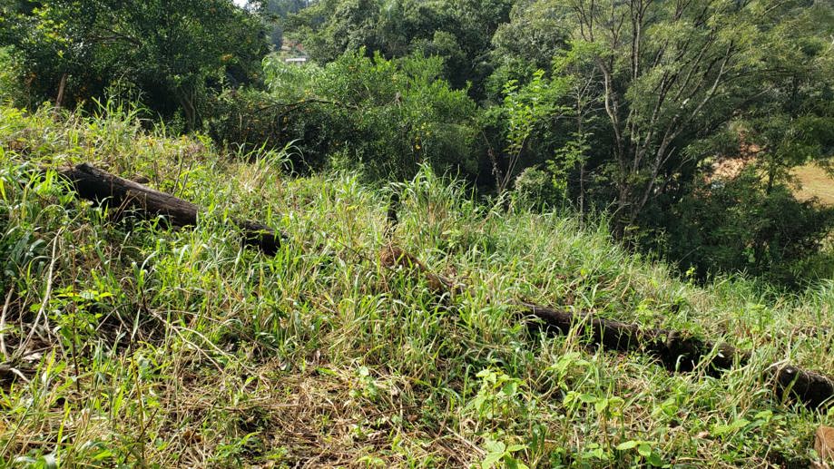 Rural com 2 Quartos à Venda, 84,00 m² - Foto 21