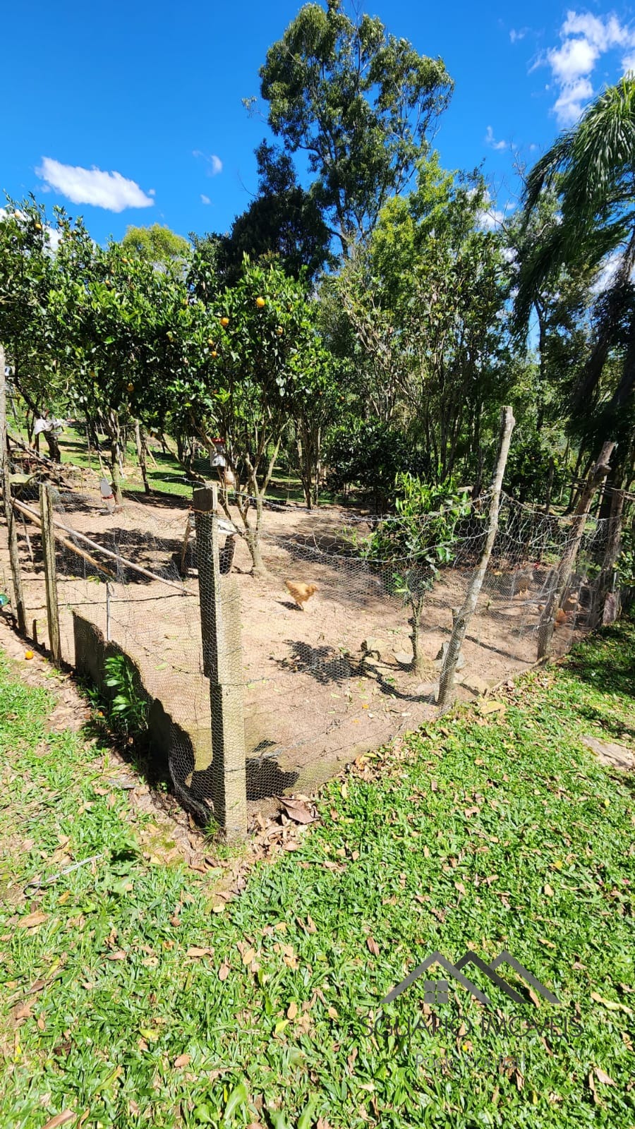Rural à Venda, 6.050,00 m² - Foto 23