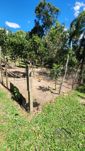 Rural à Venda, 6.050,00 m² - Foto 23