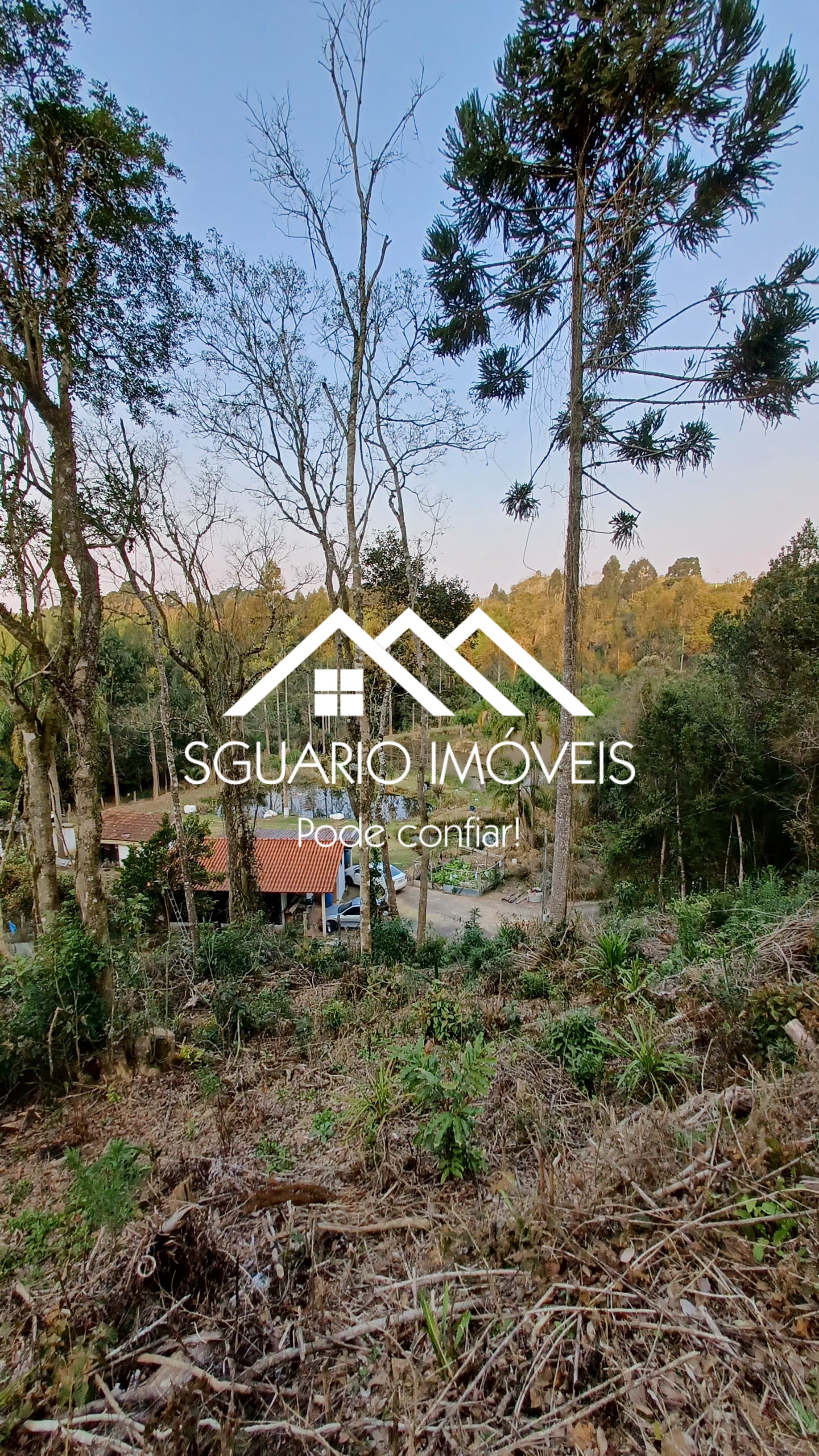Rural com 2 Quartos à Venda, 26.344,00 m² - Foto 10