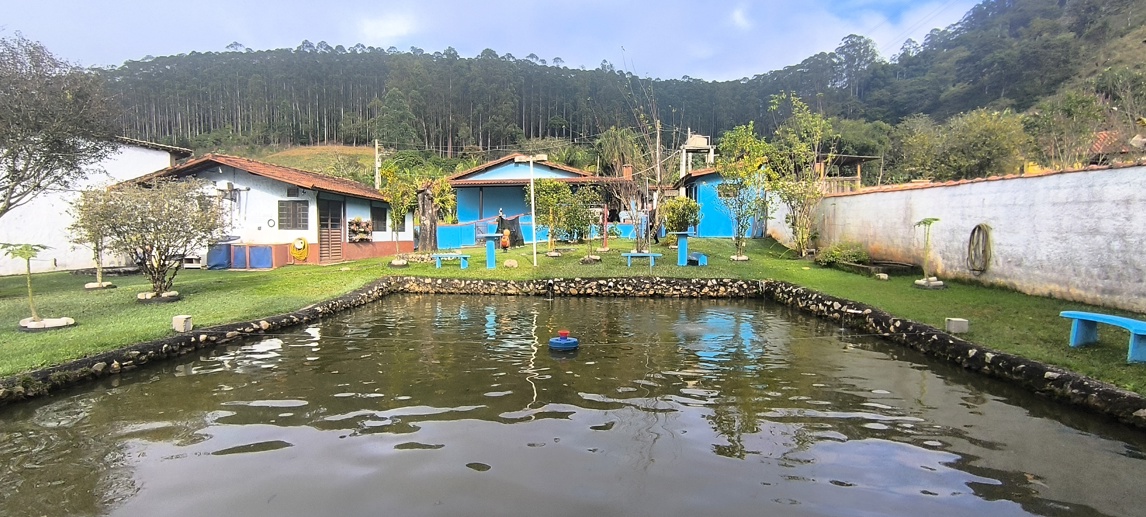 Rural com 5 Quartos à Venda, 1.000,00 m² - Foto 8