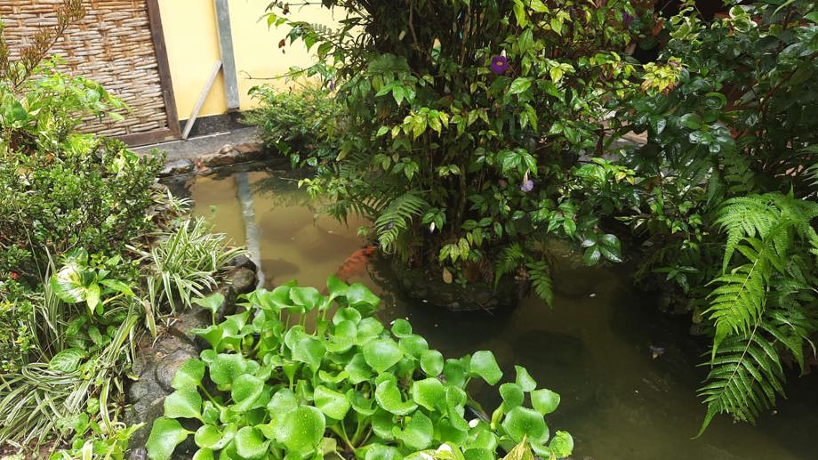 Casa com 3 Quartos à Venda, 250,00 m² - Foto 19
