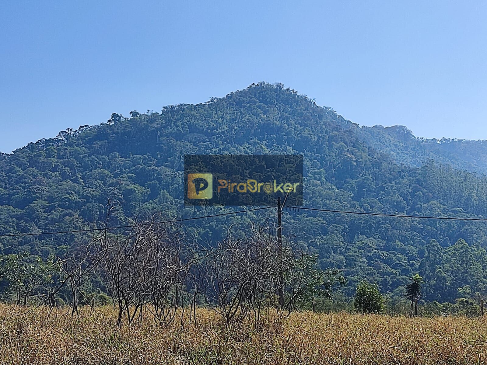 Terreno à Venda, 300,00 m² - Foto 17