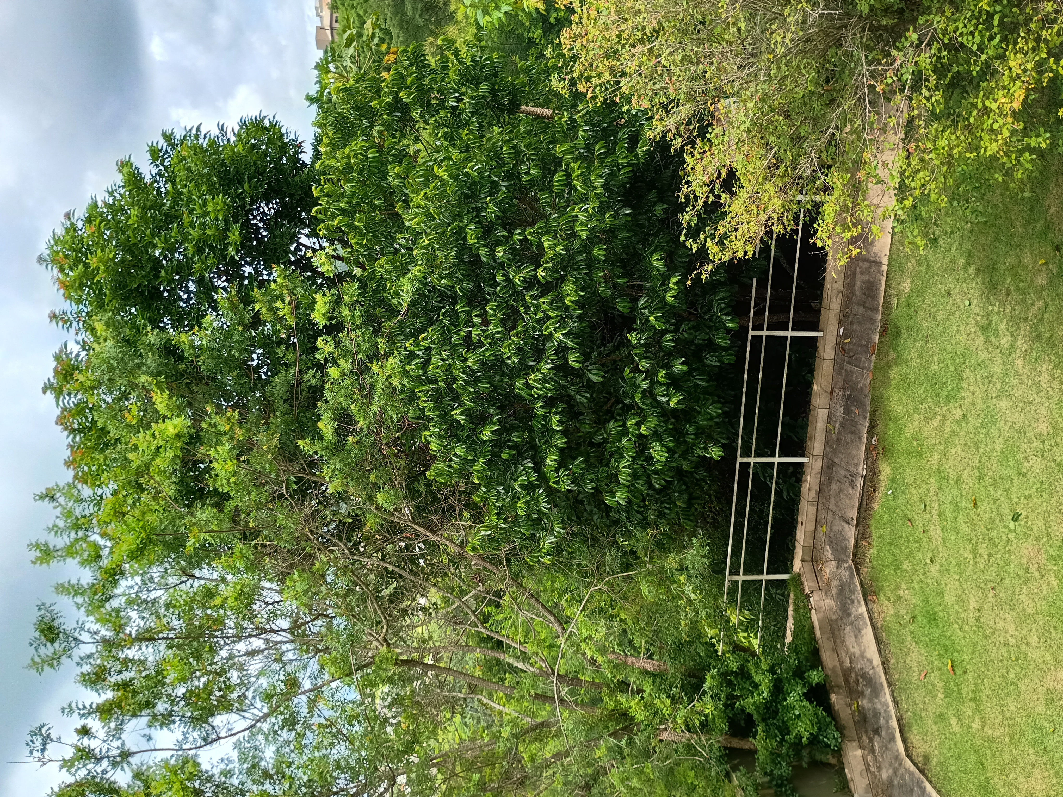 Casa com 4 Quartos à Venda, 242,28 m² - Foto 13