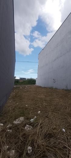 Comercial à Venda, 210,00 m² - Foto 4