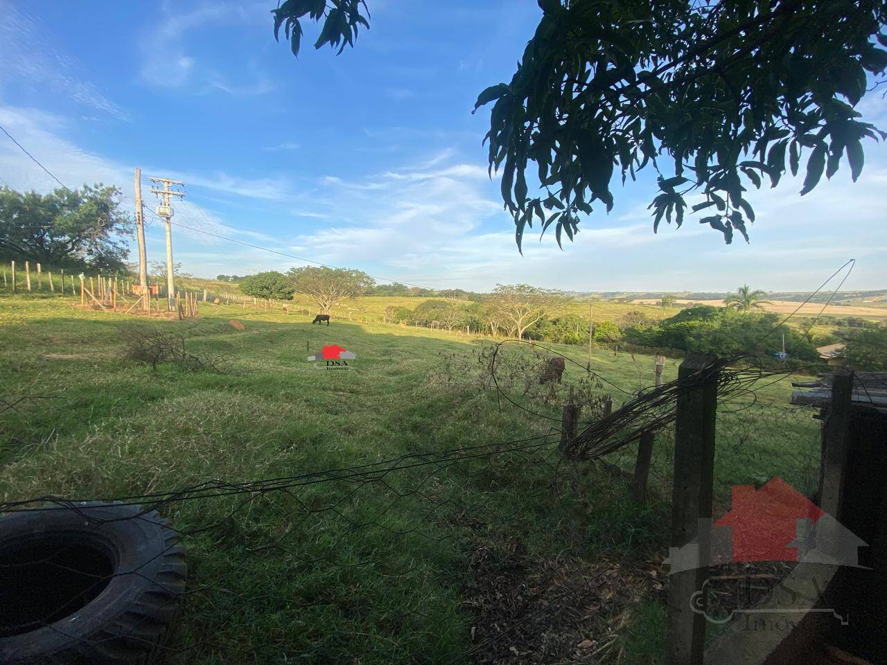 Rural com 2 Quartos à Venda, 24.200,00 m² - Foto 10