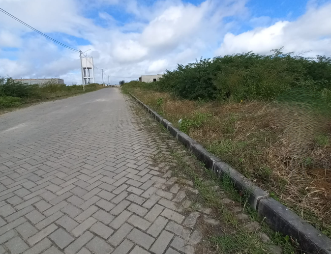 Terreno à Venda - Foto 2
