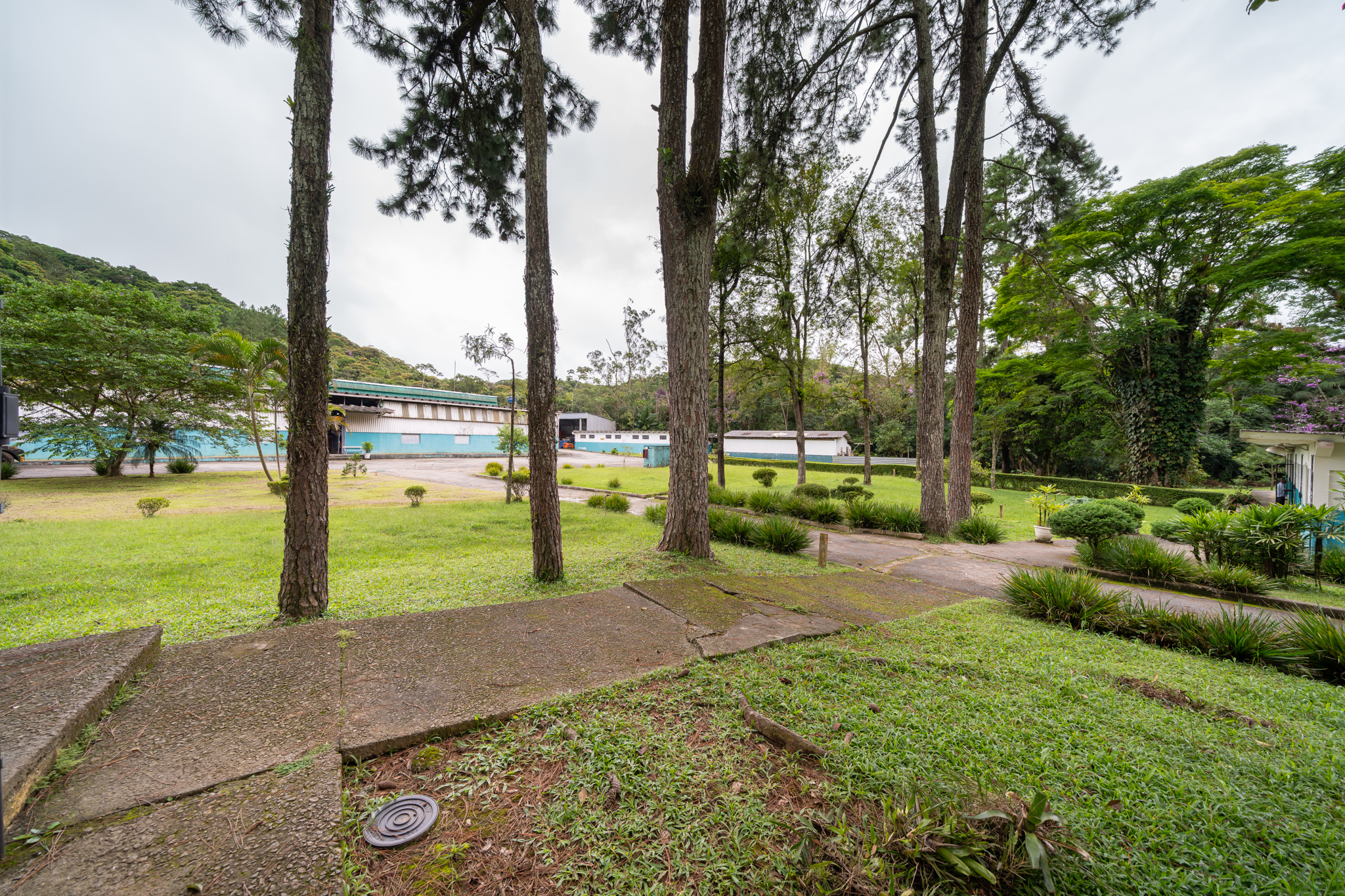 Comercial à Venda, 135.200,00 m² - Foto 43
