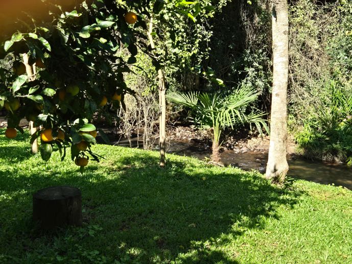 Rural com 1 Quarto à Venda - Foto 10
