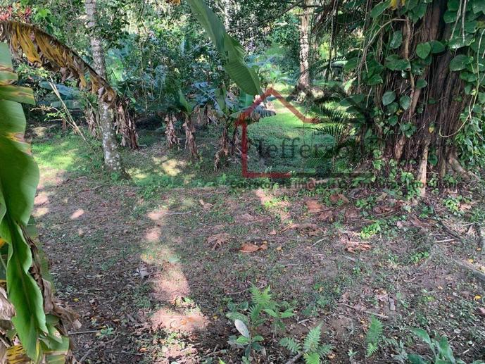 Rural com 1 Quarto à Venda, 2.500,00 m² - Foto 8