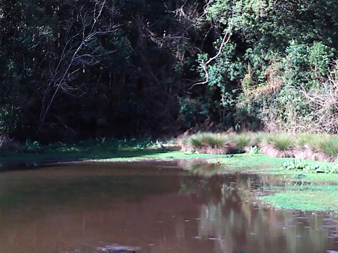 Rural com 3 Quartos à Venda, 24.946,87 m² - Foto 19