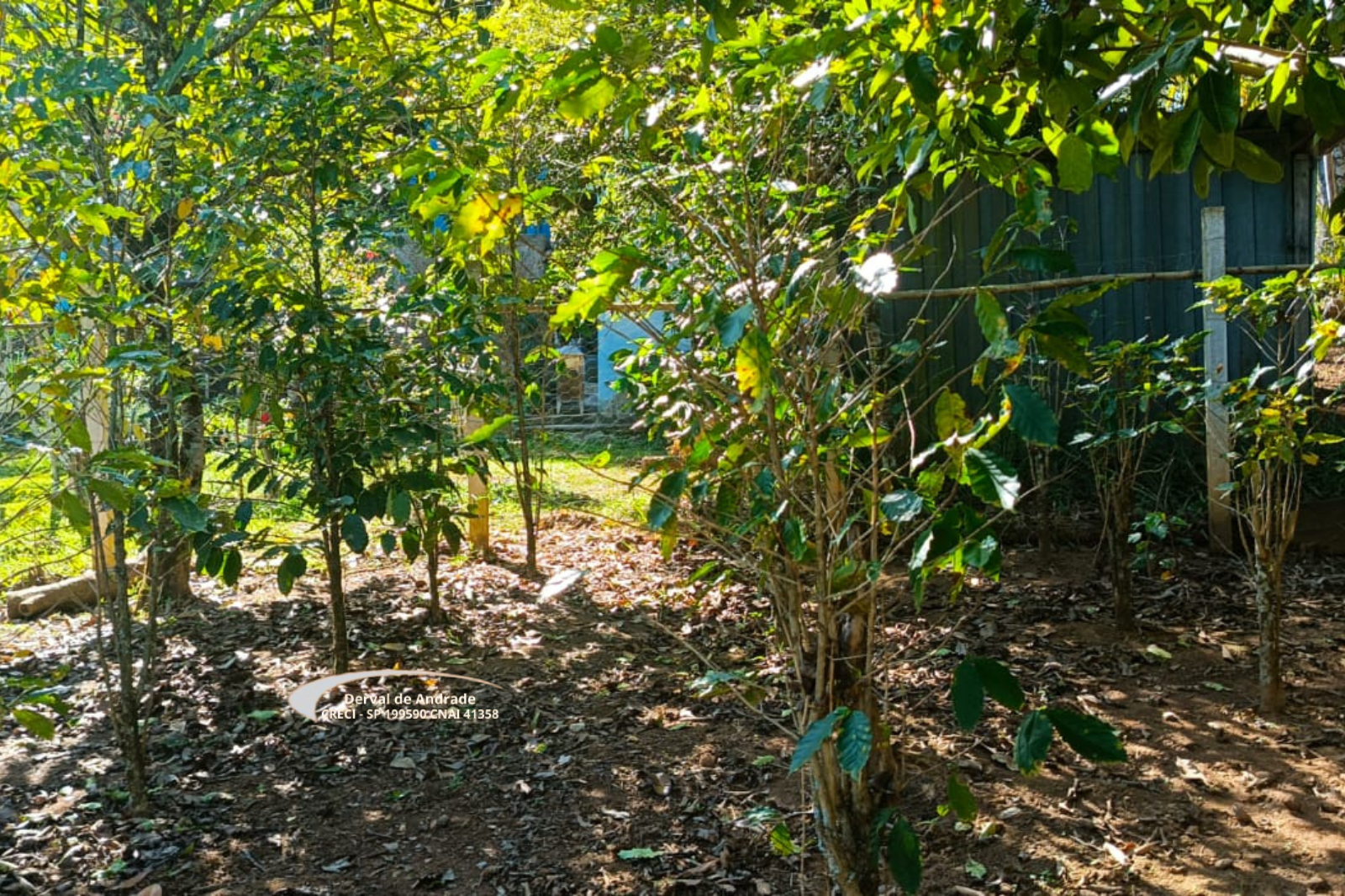Rural com 2 Quartos à Venda, 1.411,00 m² - Foto 12
