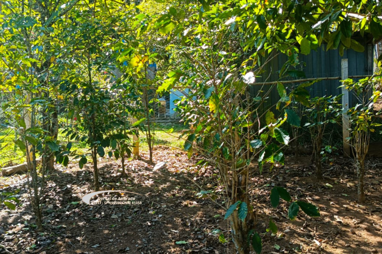 Rural com 2 Quartos à Venda, 1.411,00 m² - Foto 12