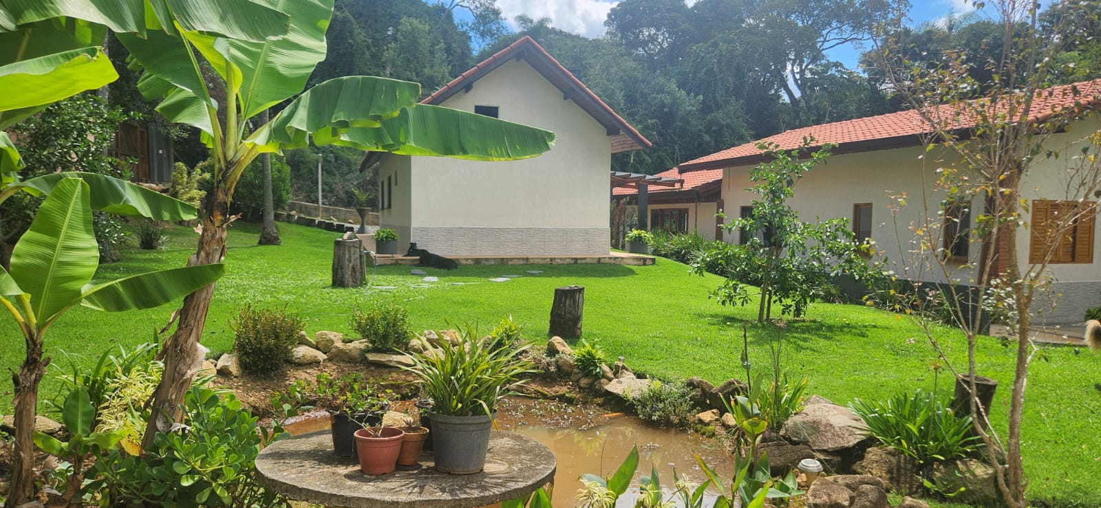 Rural com 3 Quartos à Venda, 2.730,00 m² - Foto 4