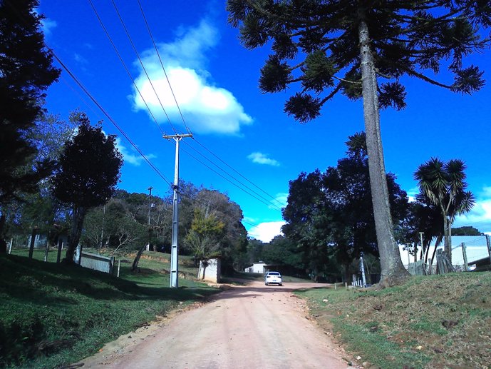 Rural com 3 Quartos à Venda, 24.946,87 m² - Foto 8