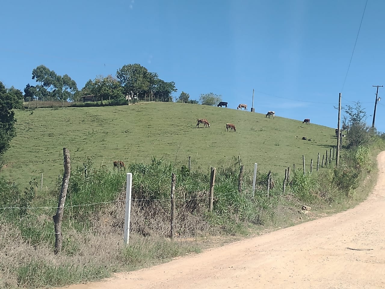 Terreno à Venda, 4.864,18 m² - Foto 9