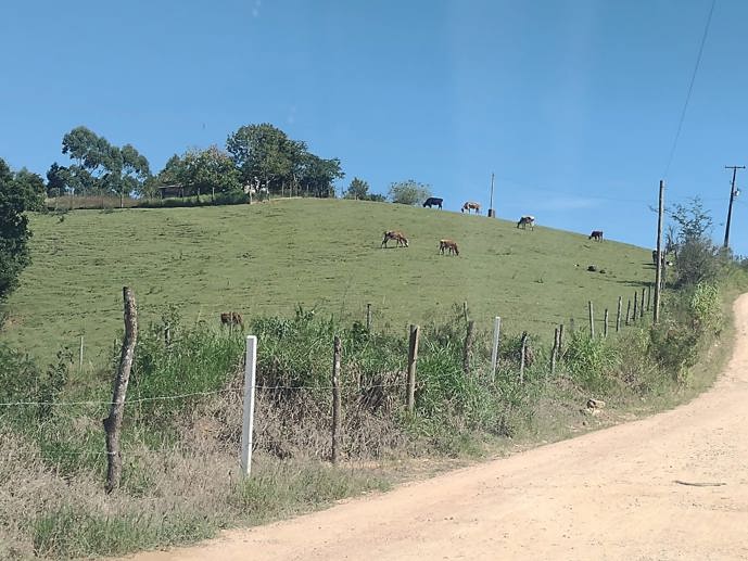 Terreno à Venda, 4.864,18 m² - Foto 9