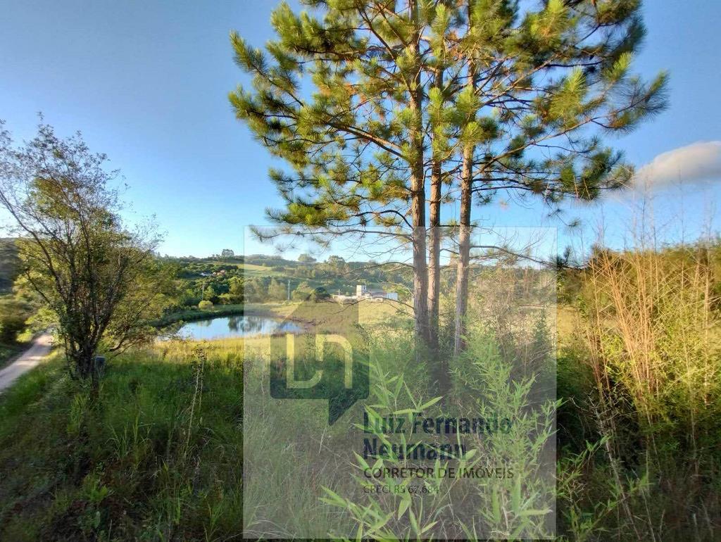 Rural com 2 Quartos à Venda, 640,00 m² - Foto 6