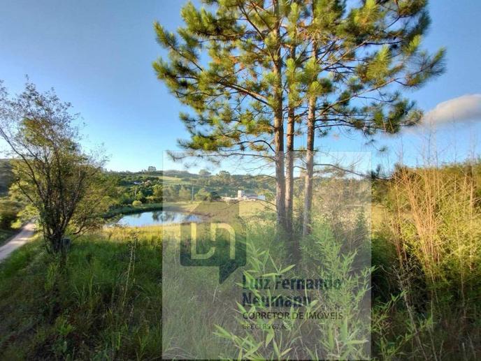 Rural com 2 Quartos à Venda, 640,00 m² - Foto 6