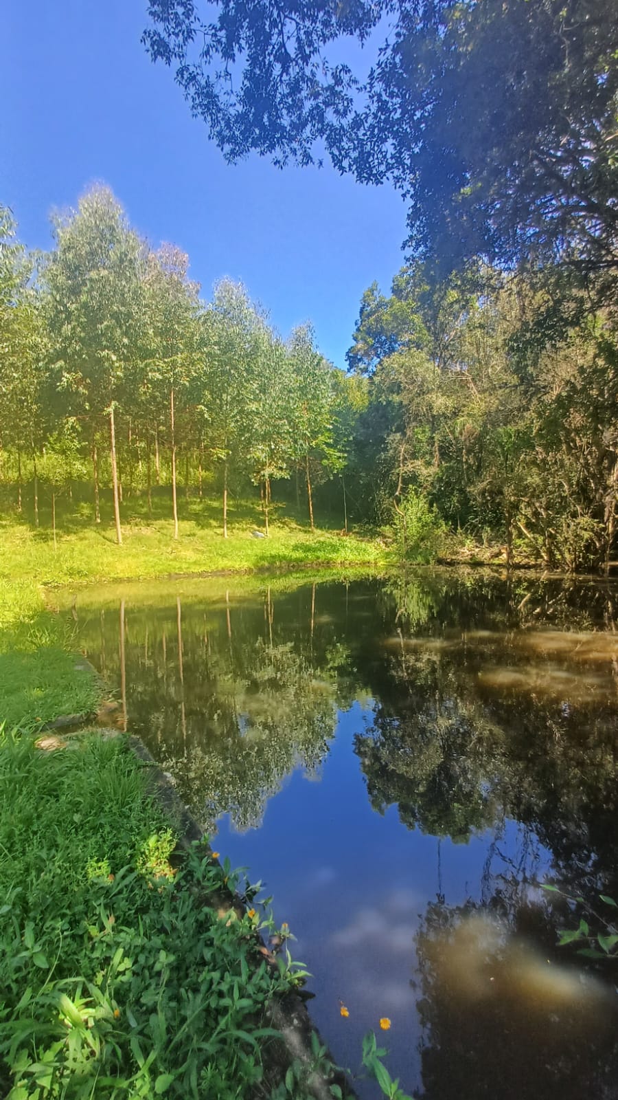 Rural à Venda, 225.000,00 m² - Foto 1