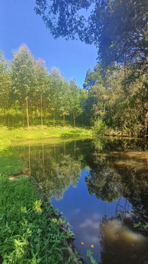 Rural à Venda, 225.000,00 m² - Foto 1