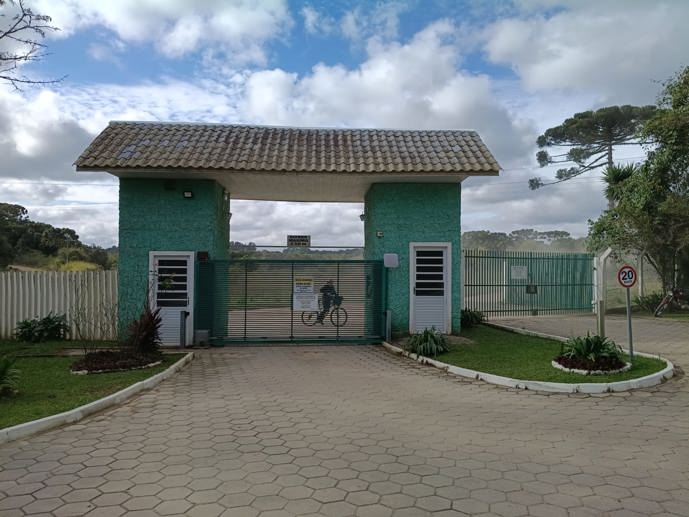 Rural com 3 Quartos à Venda, 1.237,22 m² - Foto 4