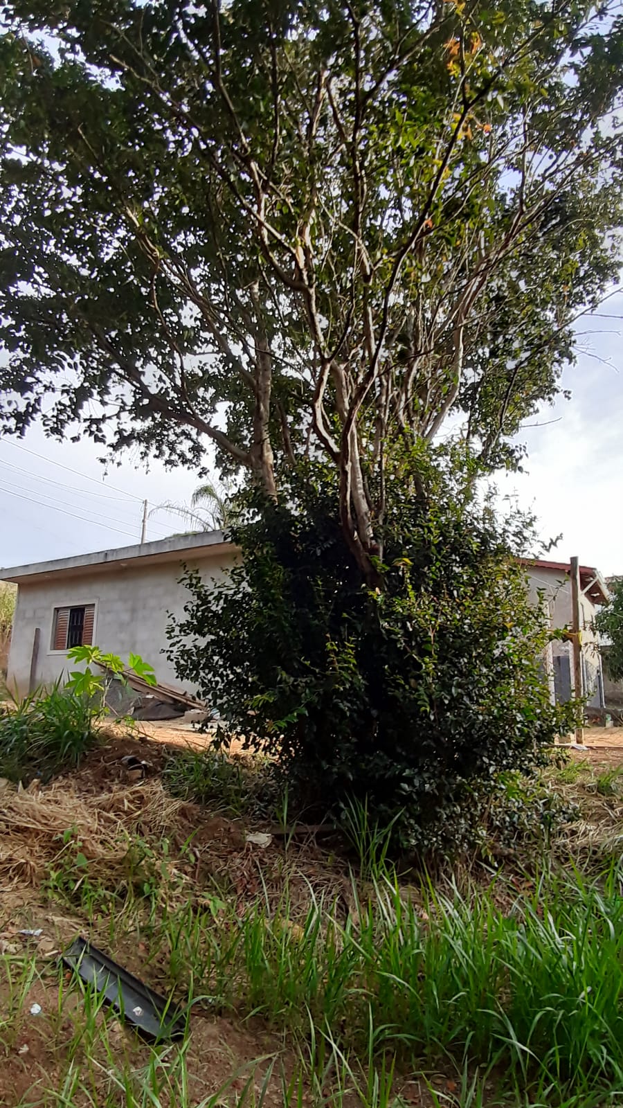 Terreno à Venda, 300,00 m² - Foto 9