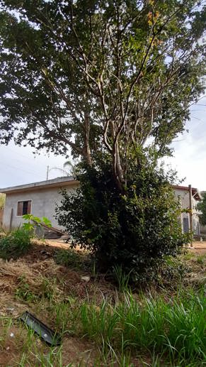 Terreno à Venda, 300,00 m² - Foto 12