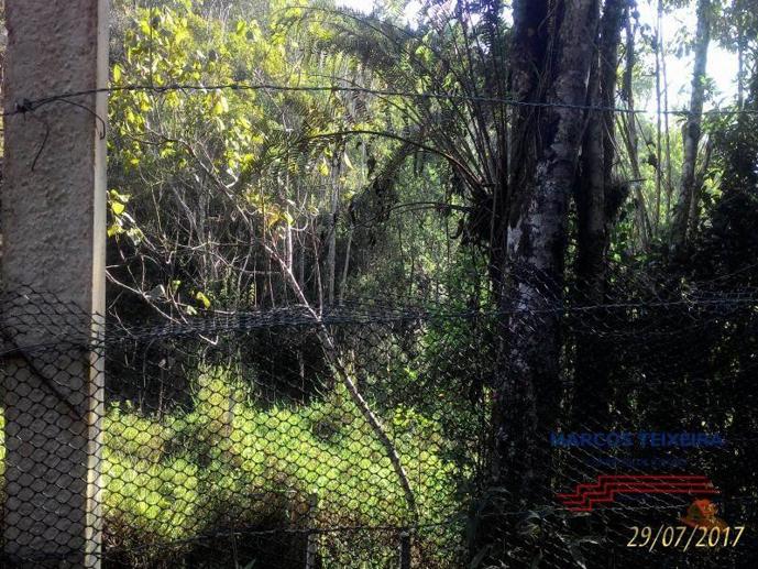 Terreno à Venda - Foto 5