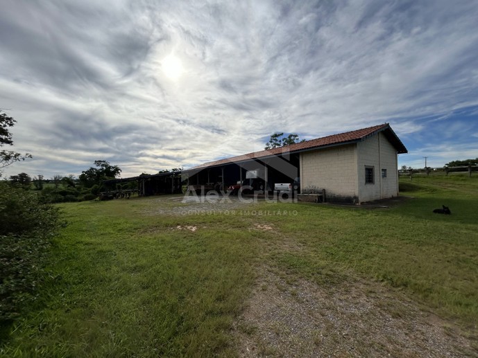 Rural com 8 Quartos à Venda, 242.000,00 m² - Foto 26