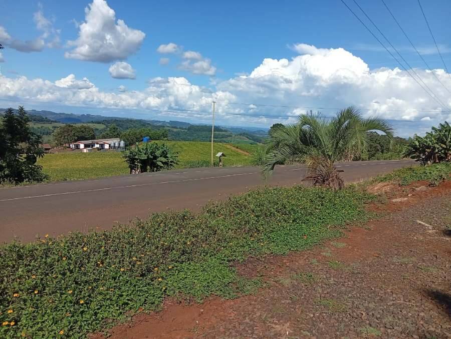 Rural com 2 Quartos à Venda, 3.000,00 m² - Foto 1